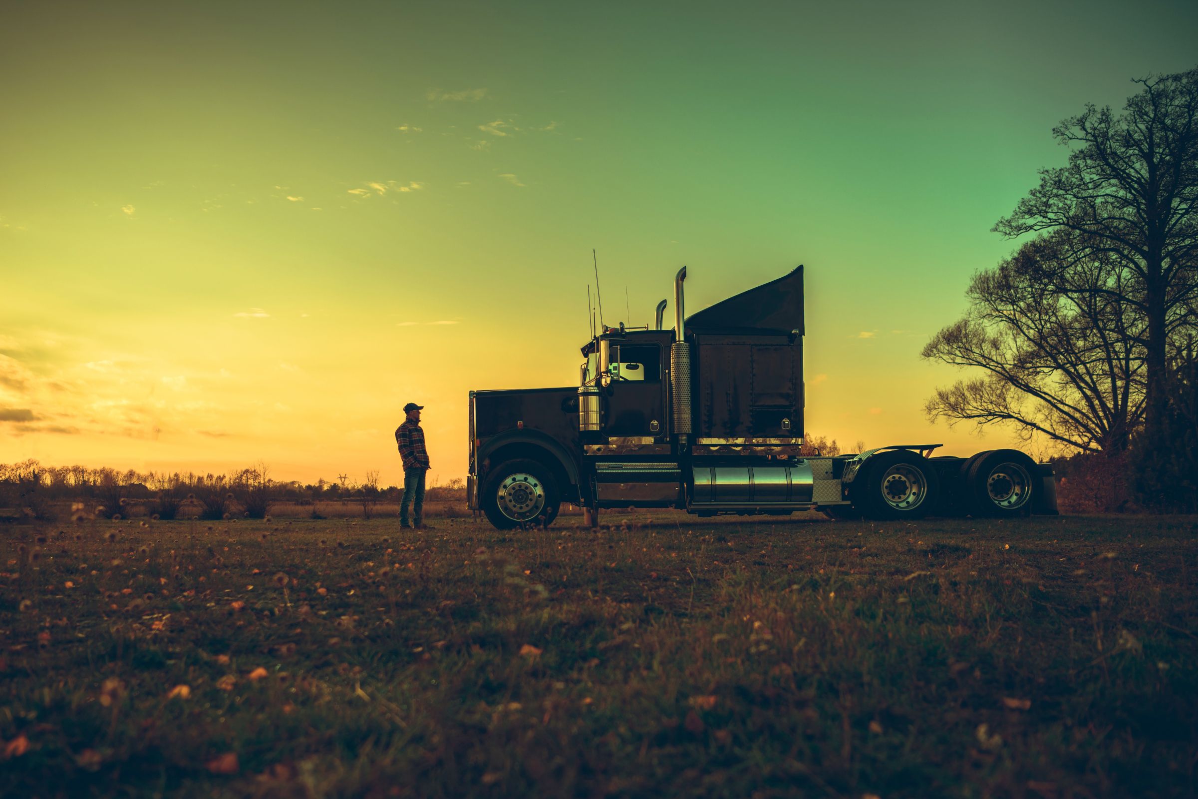 man looking at a truck on the road